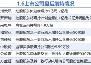 1月6日增减持汇总：传音控股等8股增持 麦迪科技等3股减持（表）