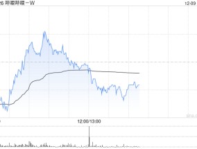 哔哩哔哩-W12月6日斥资300万美元回购15.63万股