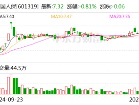 中国人保：董事长丁向群任职资格获核准