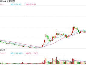 成都华微官宣高速ADC突破，A股还有这些公司也涉及高速ADC业务