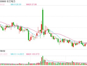 长江电力派发中期红利，全年业绩有望增长