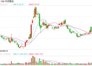 华润置地：徐荣获委任为总裁，税前基本月薪11.53万元