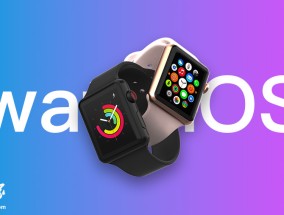 苹果 watchOS 11.2 正式发布