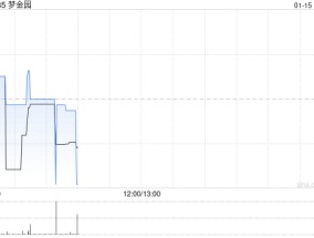 梦金园建议采纳公司H股的股份奖励计划