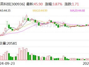 中英科技：拟终止收购博特蒙55%股权