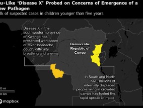 症状类似流感的“X疾病”快速传播 世卫组织向刚果派出工作组协助调查