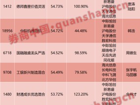 基金冠军提前锁定！五小公募或包揽年度五强，独门持仓破解同质化业绩