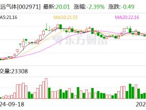 和远气体2024年中期利润分配方案：拟10派1元