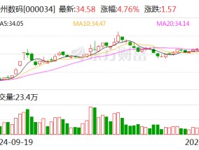 神州数码：希格玛拟协议转让公司5%股份