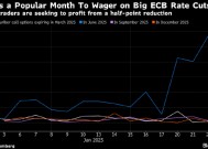 交易员大举押注欧洲央行年中前会有单次50个基点的降息行动