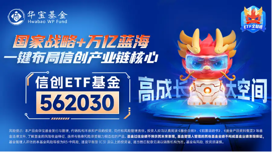 ChatGPT、Sora又宕机！网路安全再受关注，信创ETF基金（562030）盘中涨逾1%