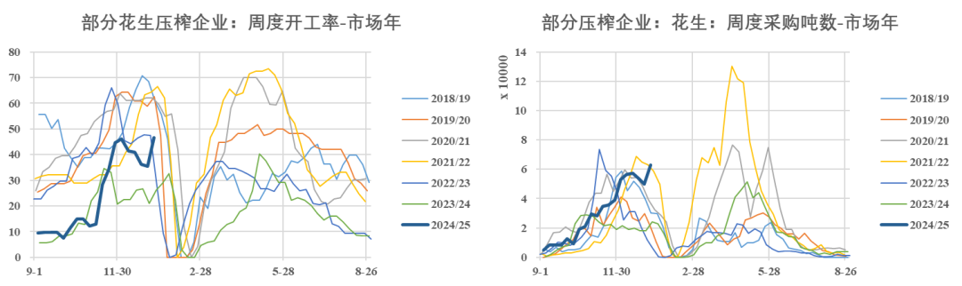 花生：迎春