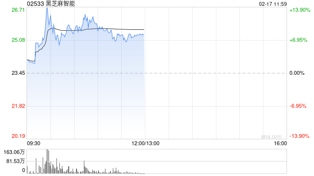 黑芝麻智能盘中涨近14% 公司与比亚迪是长期战略合作关系